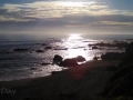 Cambria_coast2