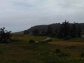 Coastal vista at Cape Blanco