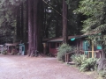 Cabins at the Emerald Forest of Trinidad