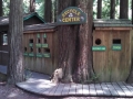 Recycle center at the Emerald Forest of Trinidad