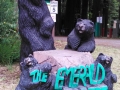 Welcoming Bears at the Emerald Forest of Trinidad