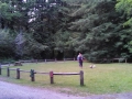 Picnic area at the Emerald Forest of Trinidad