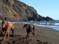 Jasmine and Pepper playing on the beach at Humbug Mountain State Park