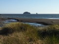 End of the beach access trail