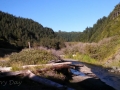 View from the beach access trail looking back towards the Humbug Mountain campground