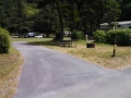 Pull-thru campsites on Loop-B at Humbug Mountain campground