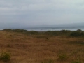 Coastal dunes and grassland along the Lost Coast scenic drive