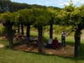 Navarro Winery arbor