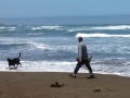 Jerry & pups at Manchester Beach