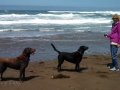 Kim & pups at Manchester Beach