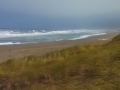 Manchester Beach and Dunes