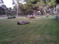 Spacious dog park at the Manchester Beach / Mendocino Coast KOA