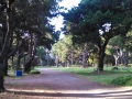 Shady lanes and pull-thru sites at the Manchester Beach / Mendocino Coast KOA