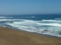 Coastal view at Bodega Bay