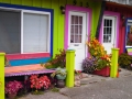 Local color at Port Orford