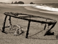 Beached Crab Trap