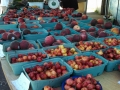 Produce stand in Brookings