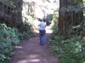 Lady Bird Johnson Grove Redwoods