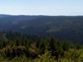 Redwood Creek Pano