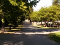 Shady lane at the San Francisco North / Petaluma KOA