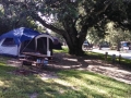 Tent site at the San Francisco North / Petaluma KOA