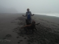 Kim playing with the pups on the foggy beach