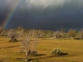 Mojave_River_Forks_Rainbow