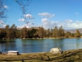 Ranch_Jurupa_Pond_1