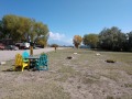 Alamosa KOA - Corn Hole