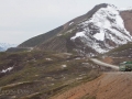 Green-line Tour/Transit Bus near Polychrome Overlook - Denali NP