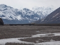 Toklat River - Denali NP