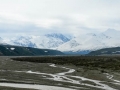 Toklat River - Denali NP