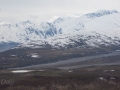 Denali NP Vista