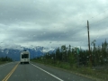 On the ALCAN Highway, near Delta Junction, Alaska
