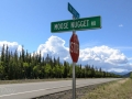 Moose Nugget Road - Tok, Alaska