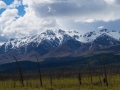 Mountain vista, near Tok, Alaska