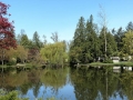 Pond at the Lynden / Bellingham KOA, Lynden, Washington