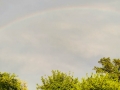 Late Afternoon Rainbow at the River Reflections RV Park, Oroville, CaliforniaRainbow1