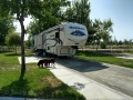 Our Rig at the Bakersfield River Run RV Park, Bakersfield, California