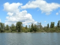 City Park Lake Near the Salem Elks Lodge #336, Salem, Oregon