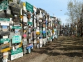 Sign Post Forest, Watson Lake, YT