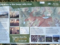 Info - Swan Lake - ALCAN Highway - YT