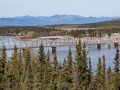 Bridge - Teslin Lake, YT