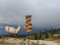 Chicken Gold Camp RV Park - Chicken & Signpost