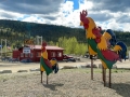 More Chickens - Chicken Alaska