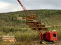 Town of Chicken Signs