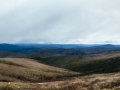 Top of the World Highway - Davis Dome Wayside Vista