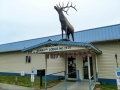Kenai Elks Lodge #2425