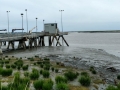 Kenai River Public Docks