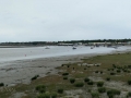 Kenai River Docks